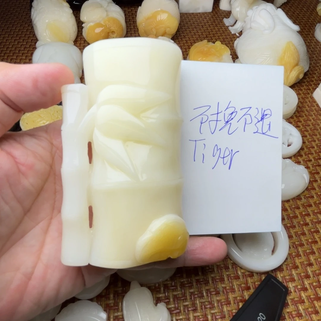 T***r贝壳非金属天然贝壳