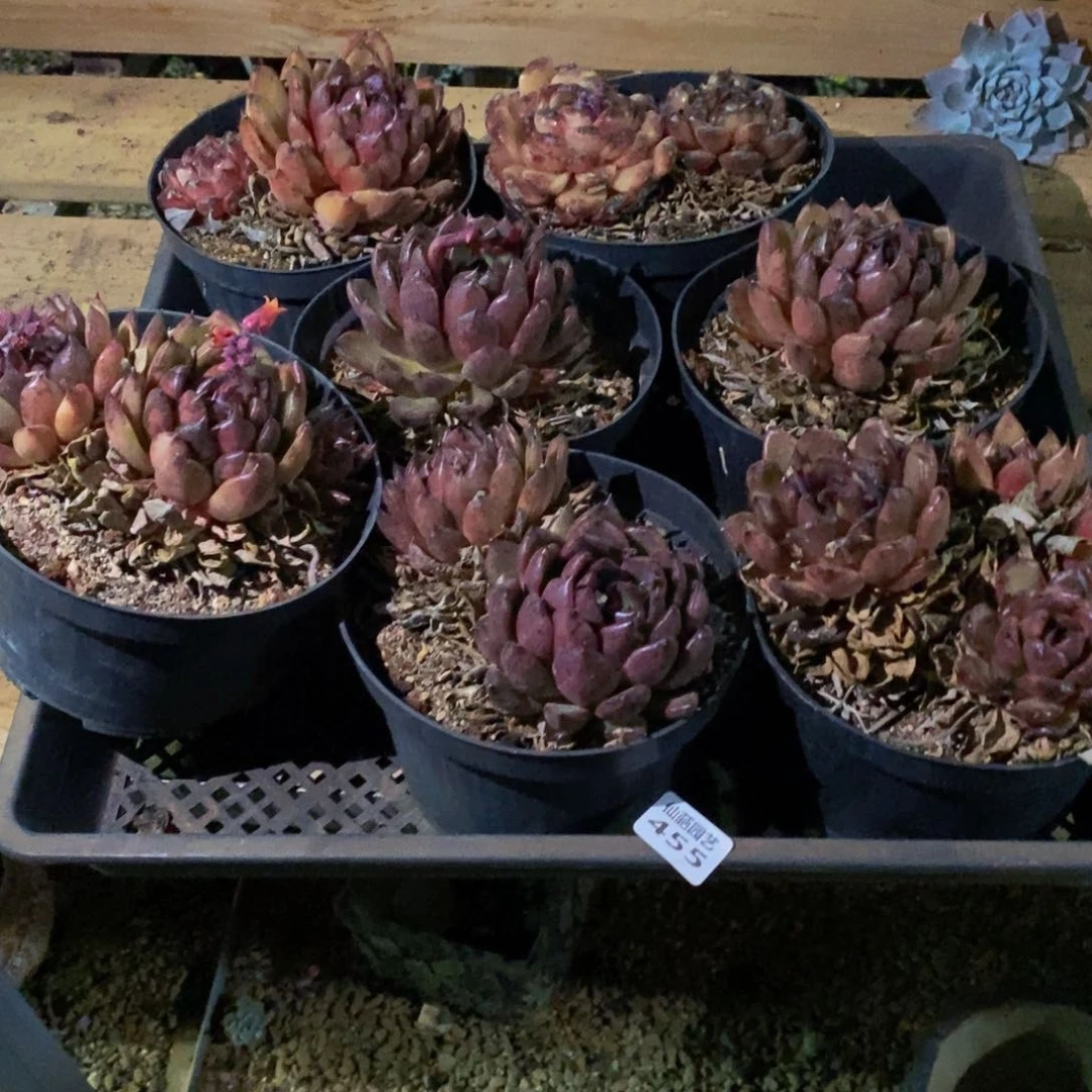 我***～455的人生态度是一种态度，我