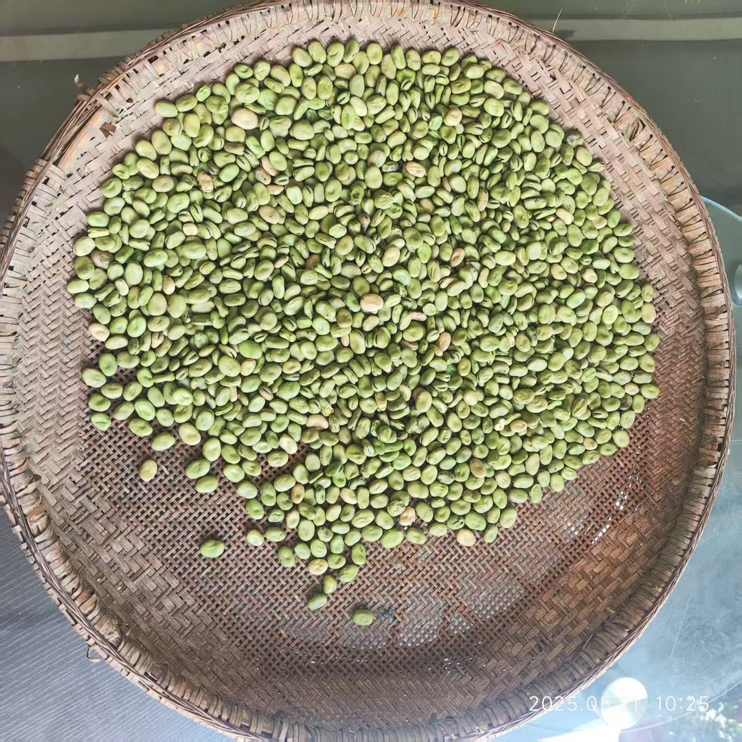 湖北松滋农家自种新鲜小籽干豌豆颗粒饱满可做焖水豌豆也可干吃