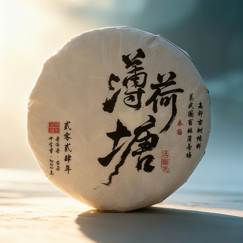 春禧的茶 2024年头春易武薄荷糖三类古树普洱茶饼茶