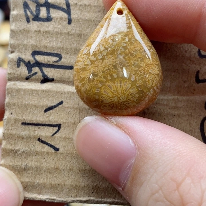 硅化珊瑚（珊瑚玉）颈饰未镶嵌