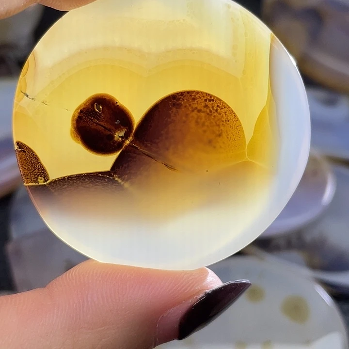 闲***雅玛瑙/玉髓未镶嵌颈饰