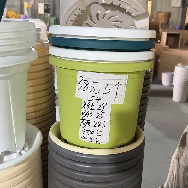 微瑕5#口径29无托果绿5个