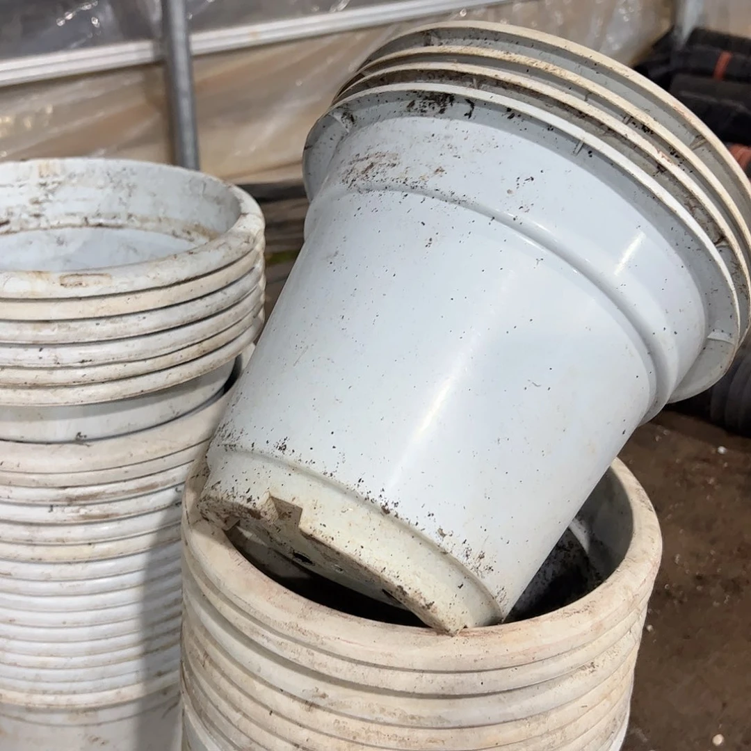 白硬圆盆25口径20.5高 3个