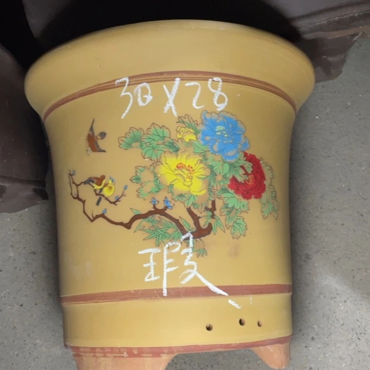 周深周深周深周深周深