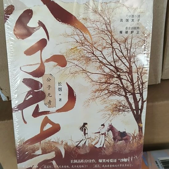 公子无奇 默认微瑕正版图书。