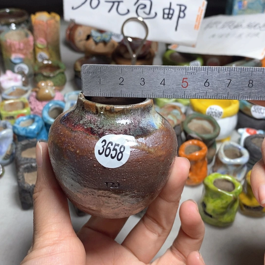 拍5送一个小礼物