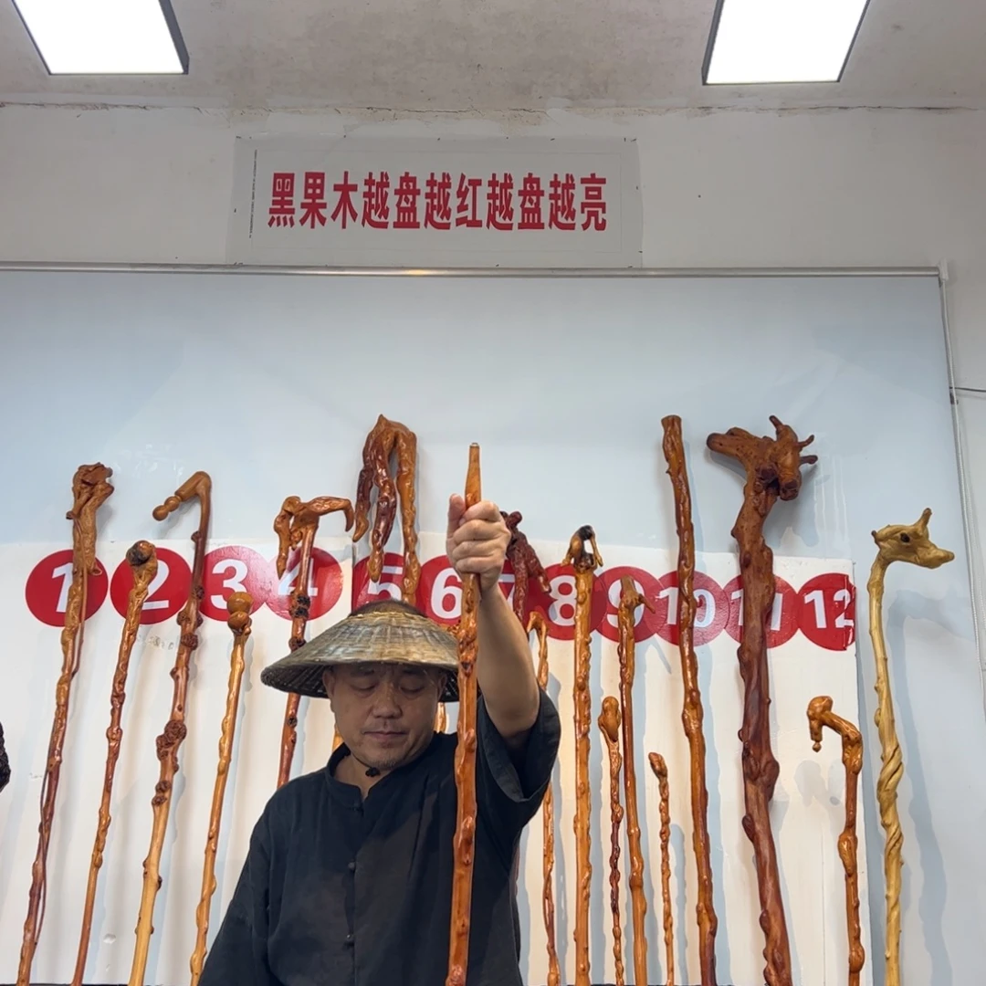 逸***静黑果木其他黑果木217