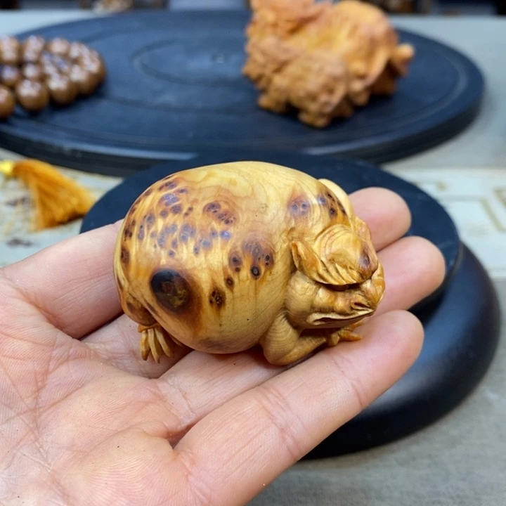 柏木（崖柏）崖柏1