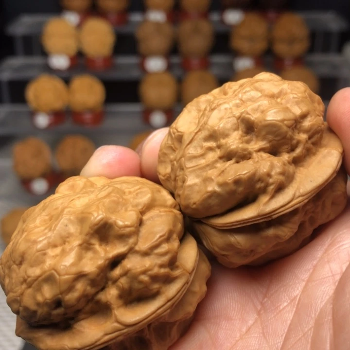 把件文玩核桃14老树金蟾疙瘩包，一口价