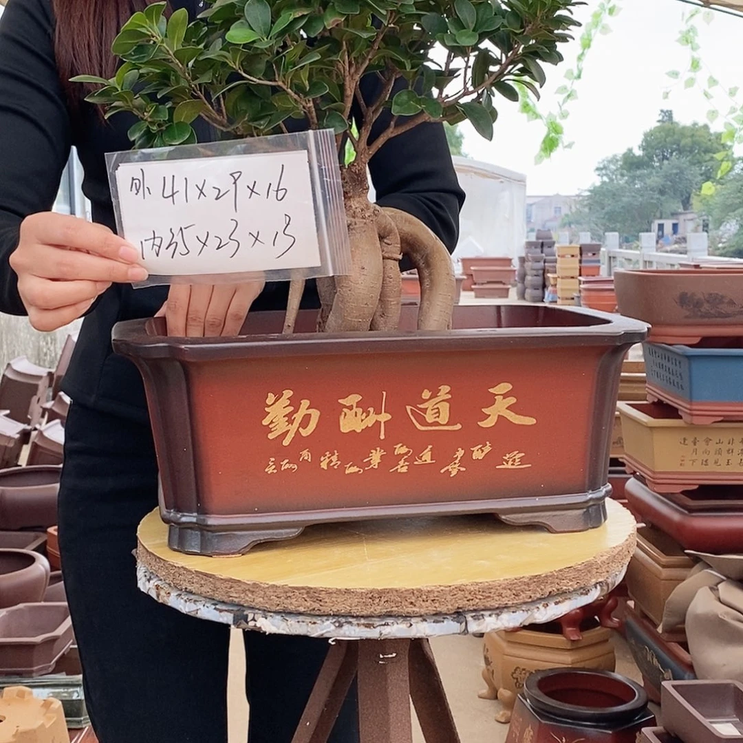 紫砂花盆紫砂花盆