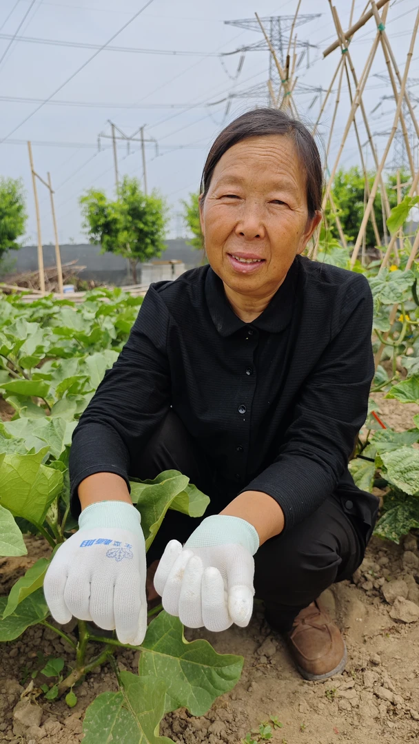 【杨姐同款】12双薄款尼龙手套防静电PU涂掌涂指无尘防滑耐磨防静电