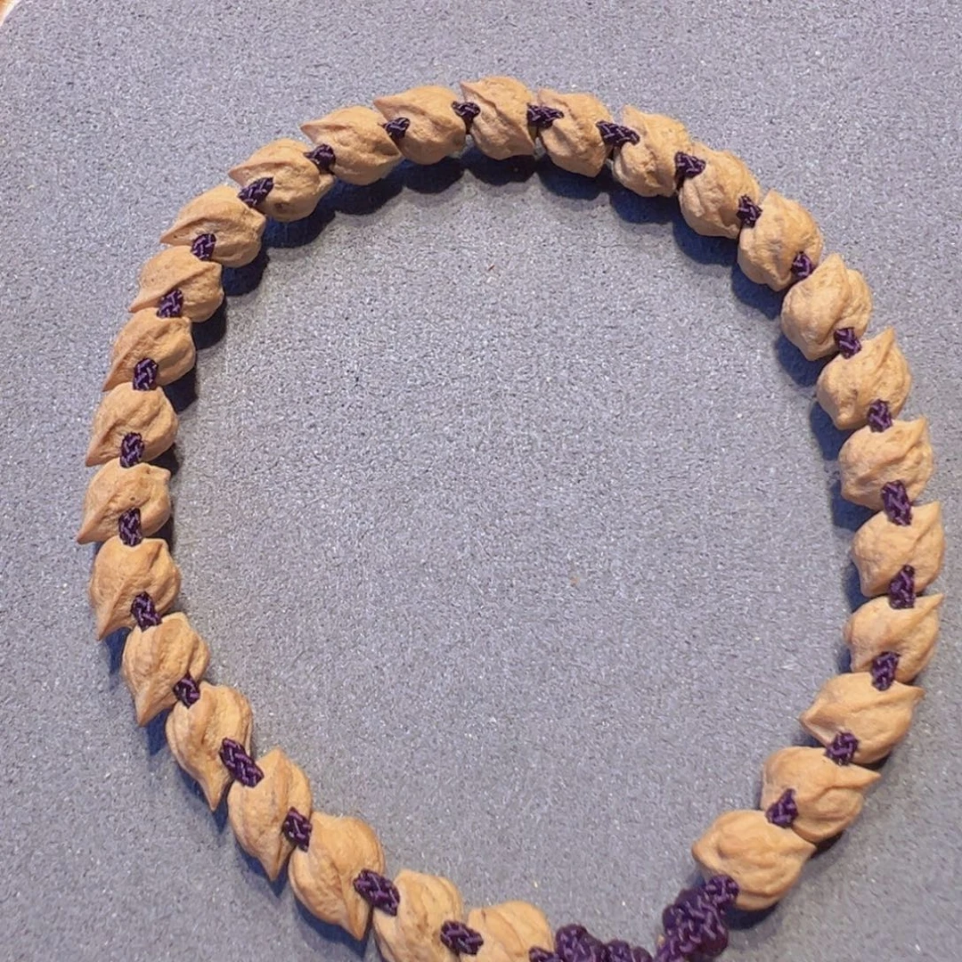 吊坠柏香籽/百香籽蛇骨单圈