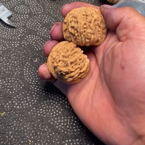 文玩核桃把件西楼10米