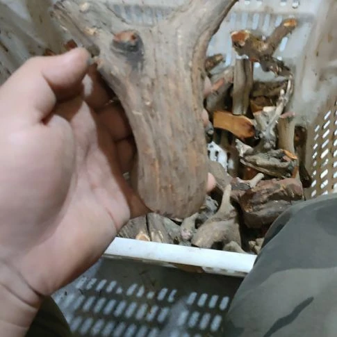 想***人核桃木/黑胡桃（胡桃木）