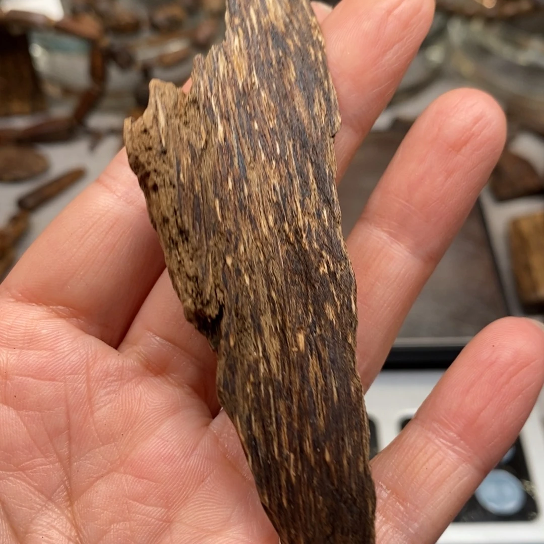 沉香碎屑沉香芽庄