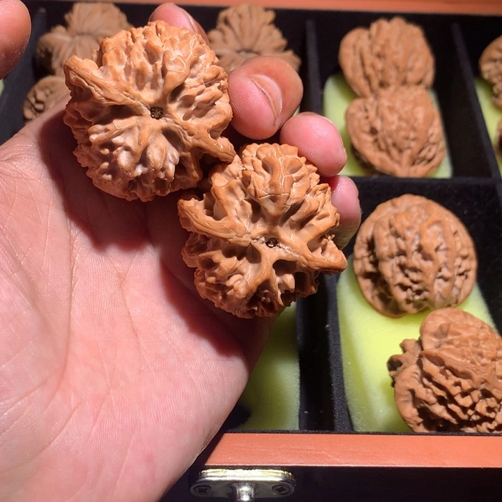 手串/手链核桃哈哈哈哈哈