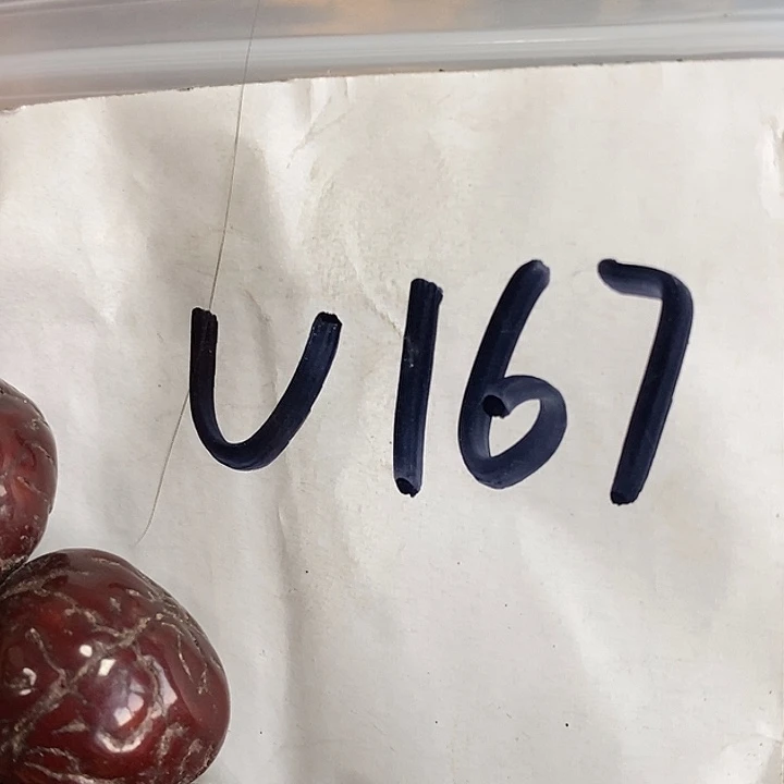 独***情民间喜乐购专项链接