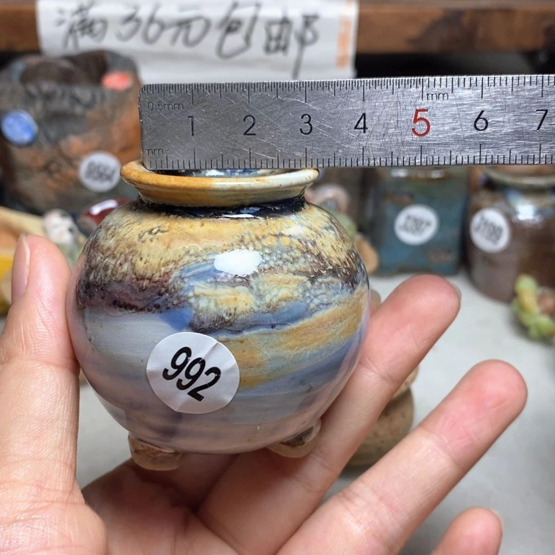 拍5送一个小礼物