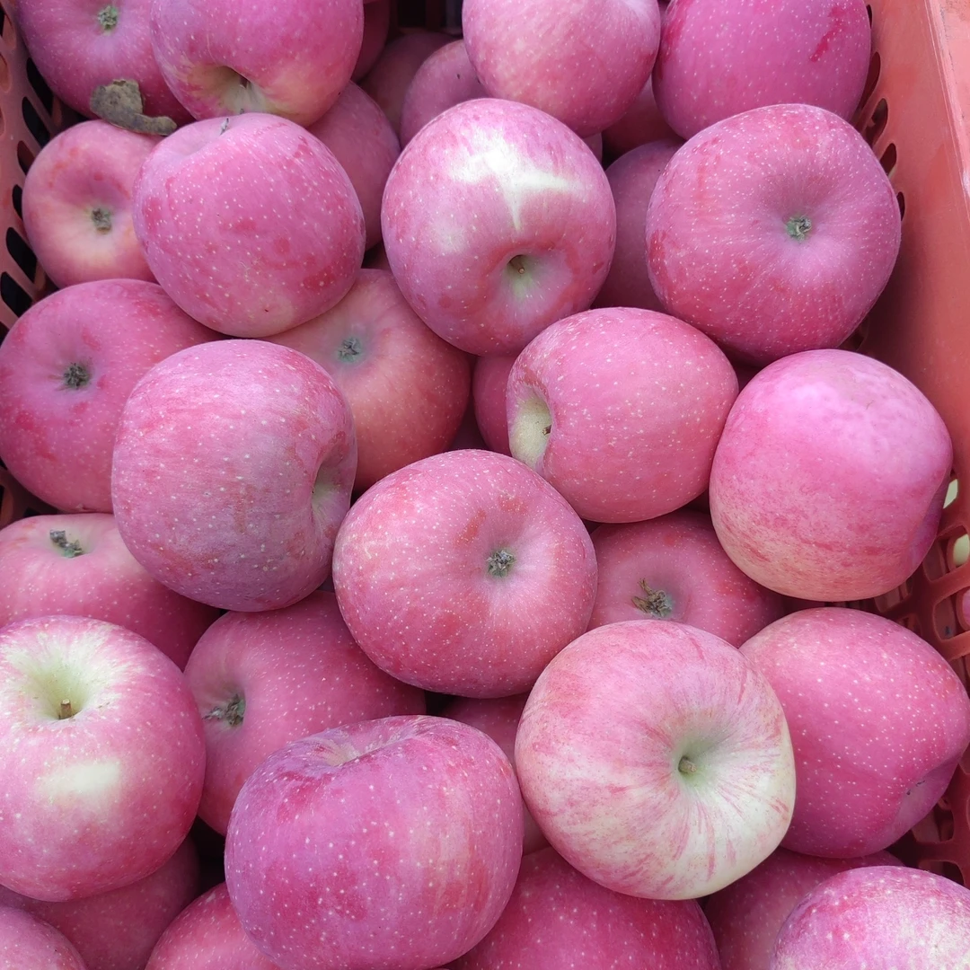 红富士苹果一份约2斤