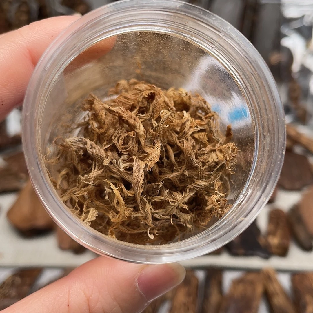 沉香碎屑沉香芽庄勾丝2克