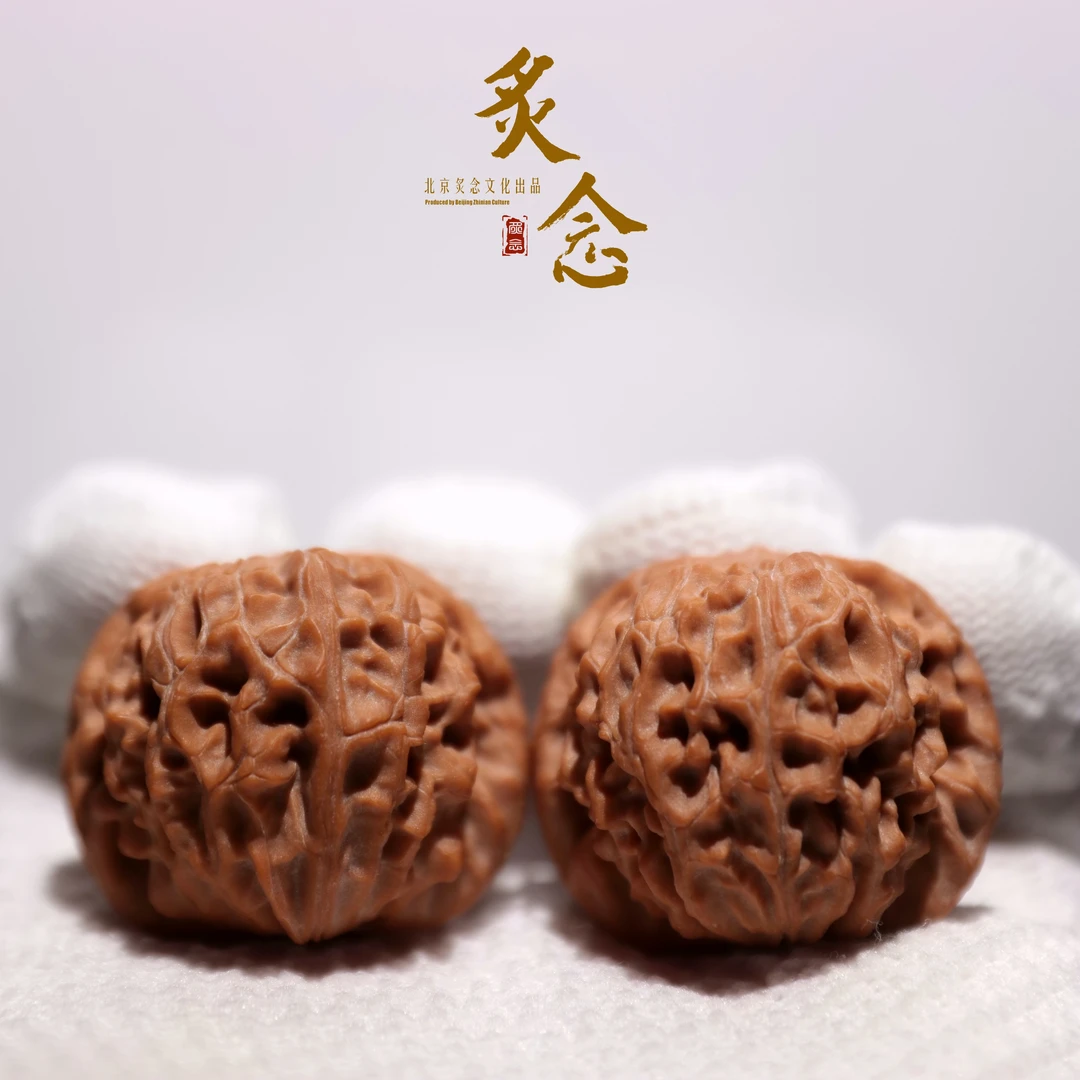 龙眼 · 33.5-37-29 一物一图 文玩好物