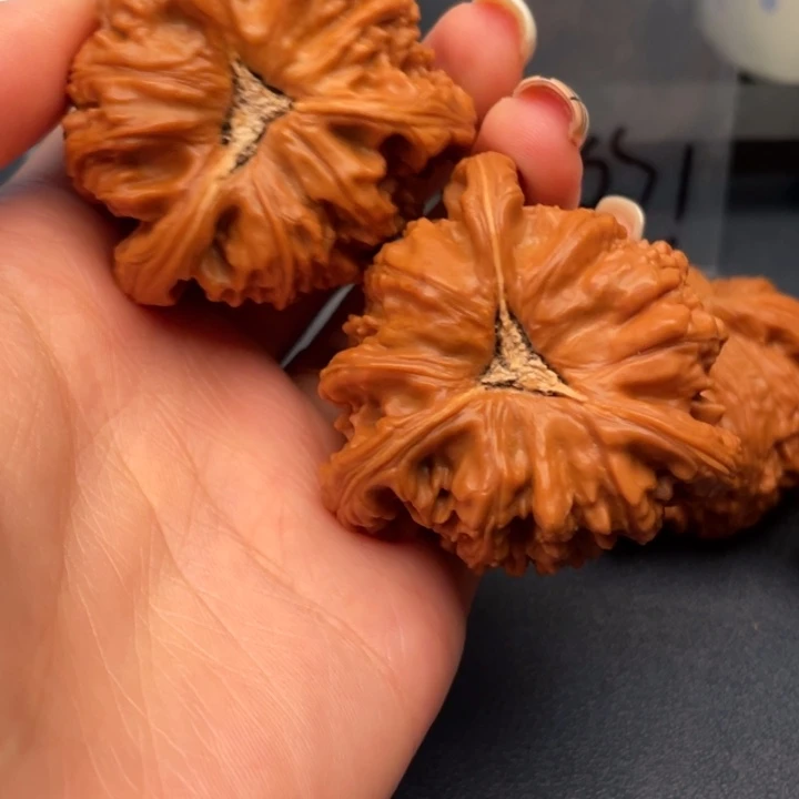 腾***司吊坠文玩核桃白狮子