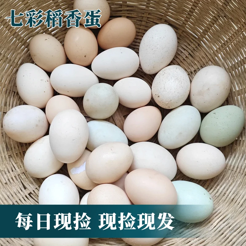 30枚土鸡蛋农家散养散放新鲜土鸡蛋粉壳壳混装现捡现发