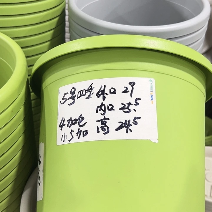 特价5号口29高24.5果绿6只无托