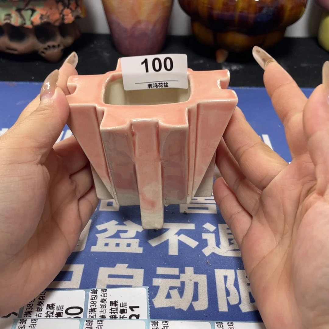 特价微瑕疵不退不换哦100