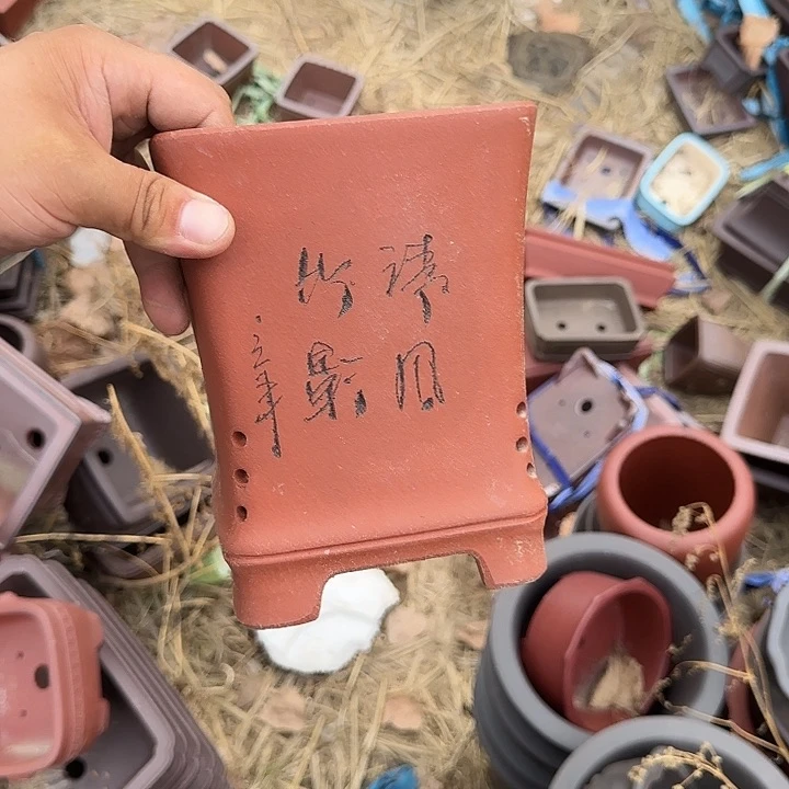 这就是所谓一群小鲜衣啊喂