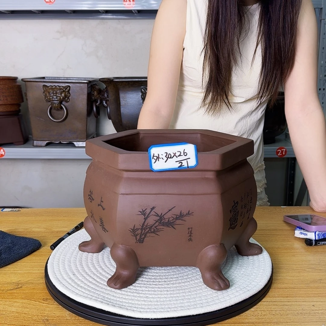 紫砂花盆紫砂花开