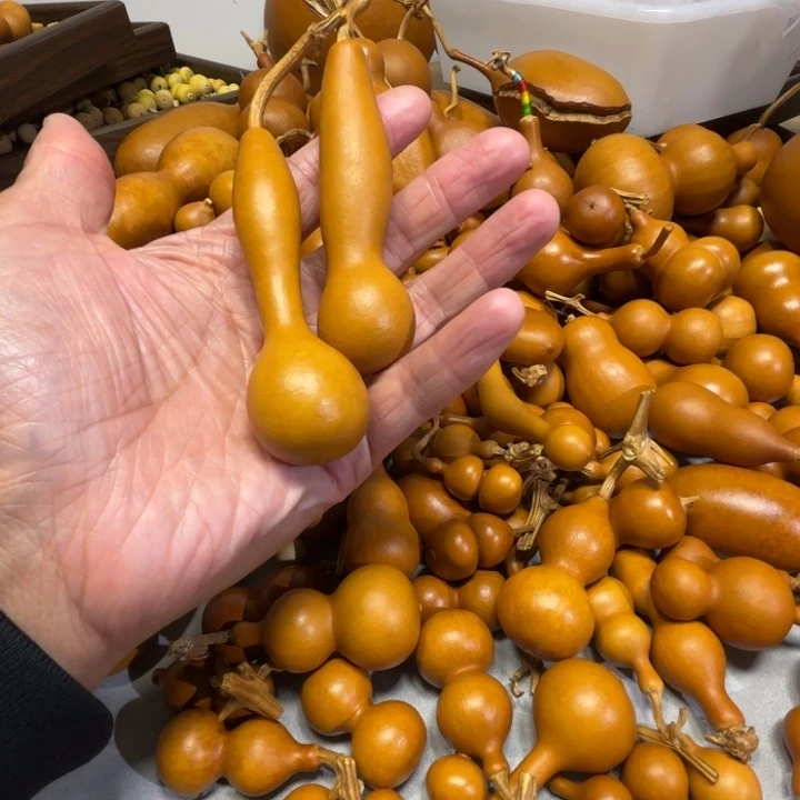 流***魂流浪的灵魂的两把苯甲葫芦葫芦