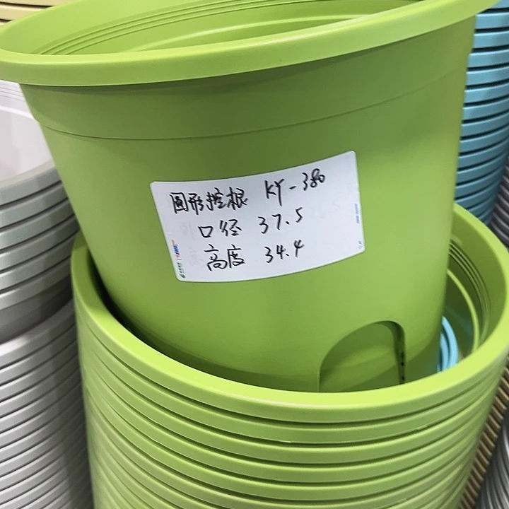 正品圆控口38高34果绿无托3只