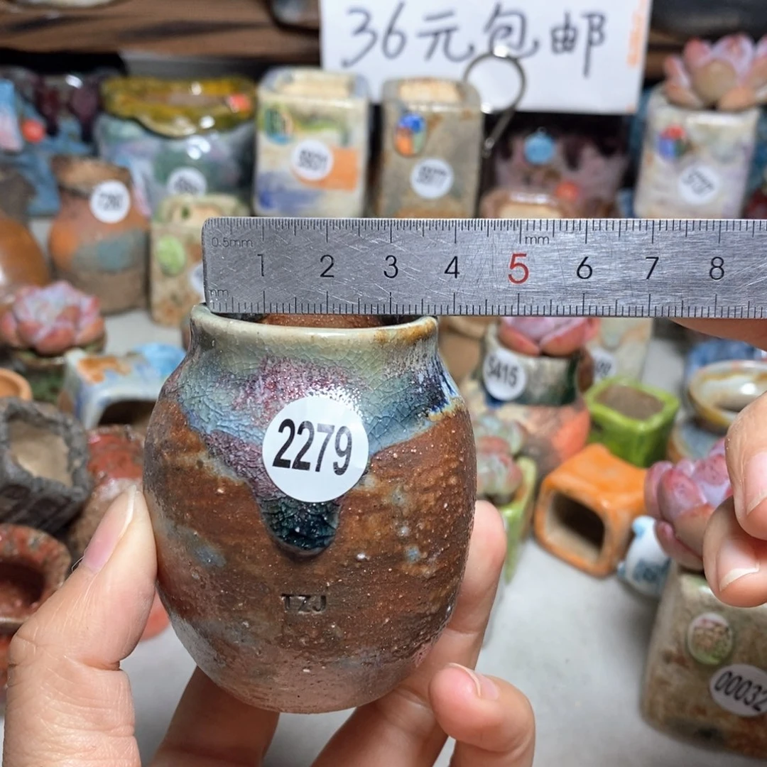 拍5送一个小礼物