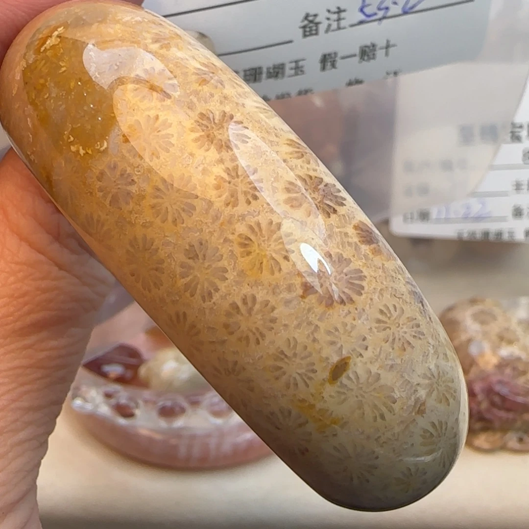 硅化珊瑚（珊瑚玉）未镶嵌吊坠(不含链)