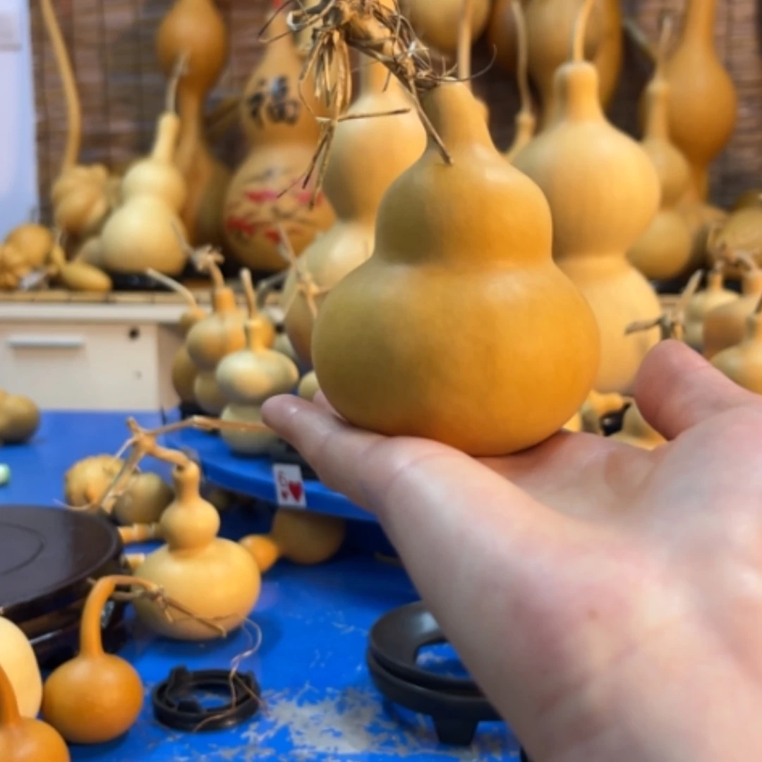 【闪购商品】ฅ****ฅ他他他他他他他他他他他他