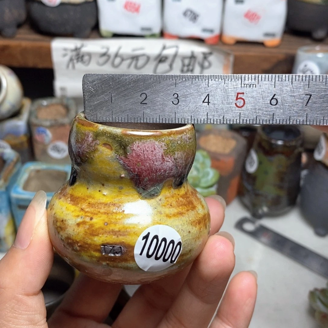 拍5送一个小礼物一