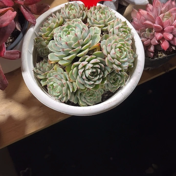 -****00000000000000002057