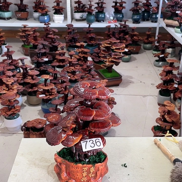 漂***螺736888888888888888