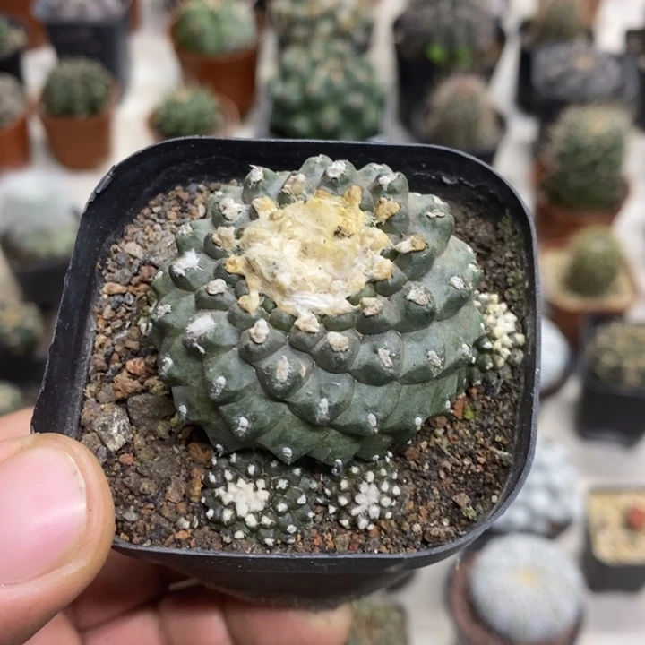 墨碟特价福利特价