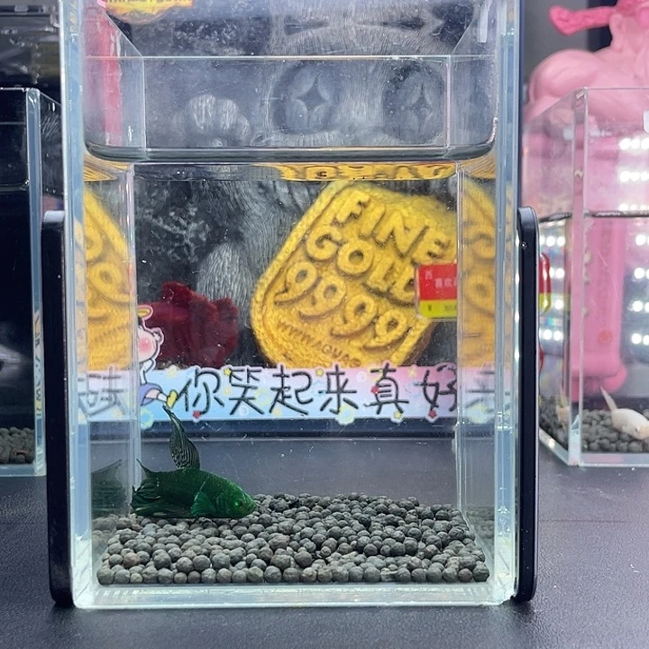 斗鱼70号926早绿半