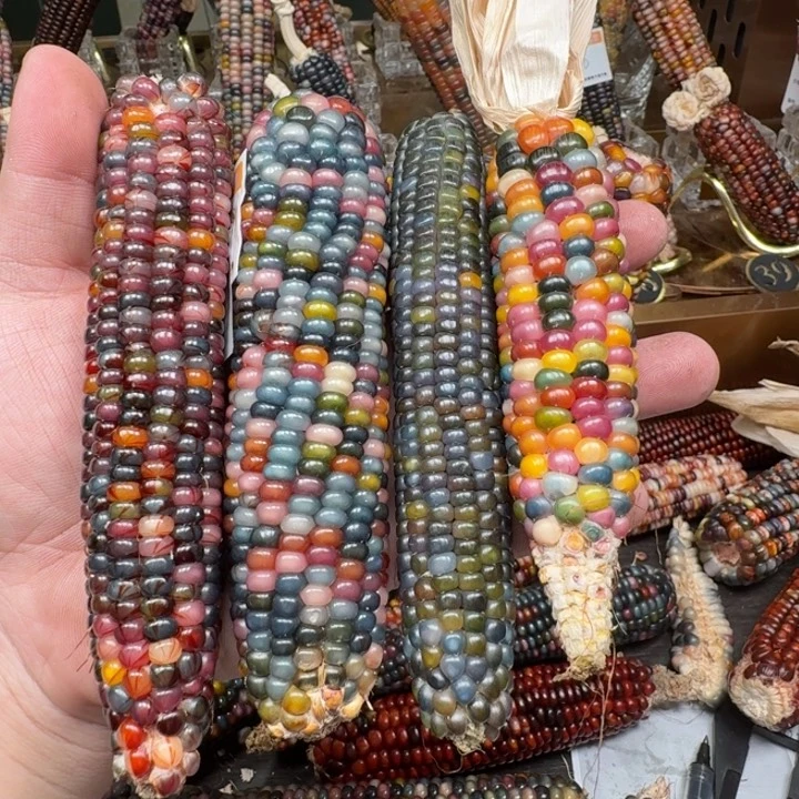 柏香籽/百香籽吊坠姜*好