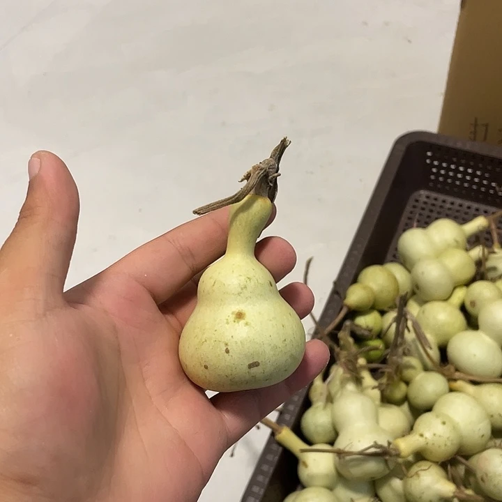 宛***辰感谢大哥支持不保成