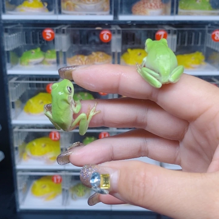 角蛙恭喜发财大吉大利