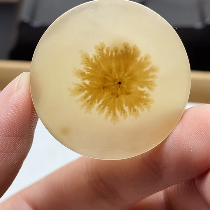 伊***5玛瑙/玉髓未镶嵌颈饰