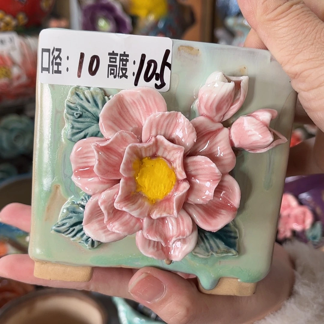 【闪购商品】红陶福利