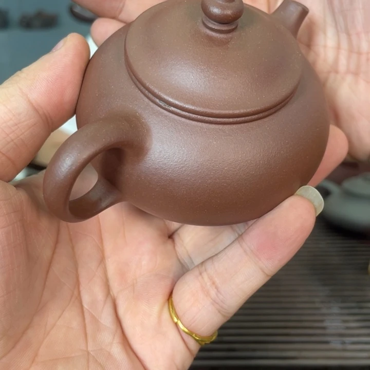 茶壶紫砂哈哈哈哈哈这个综艺节目真的是太棒