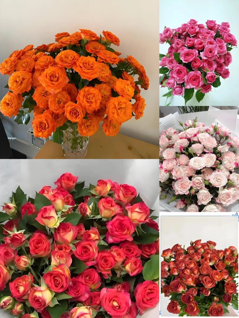 泡泡20枝顺丰包邮