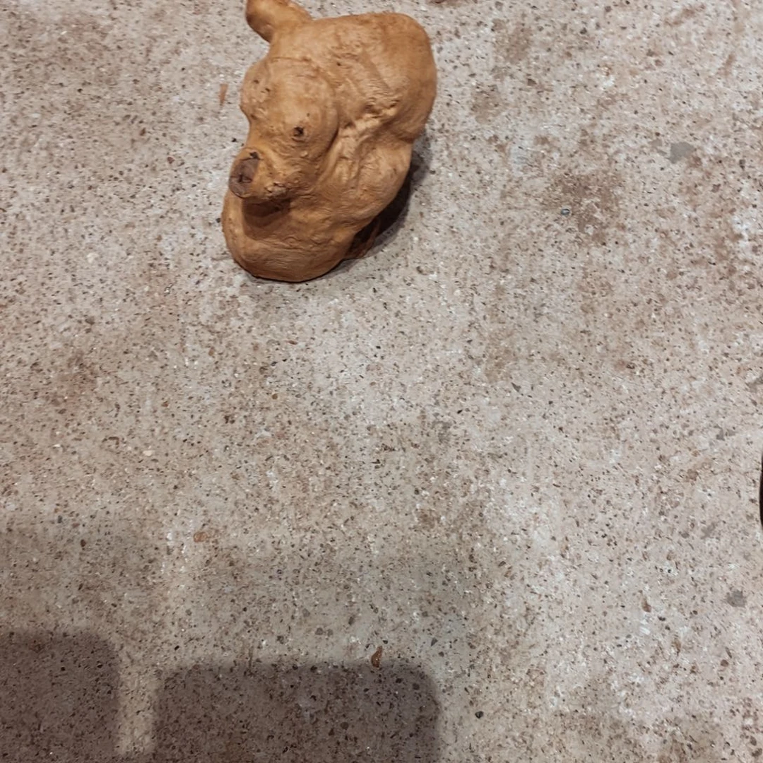 秋****荔枝木随形木材一个